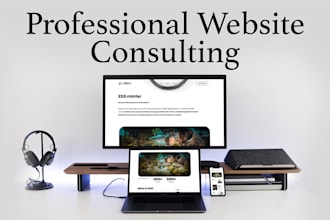 give professional website consulting for your business