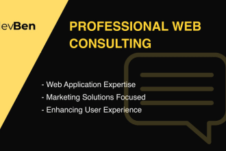 consult on your web application or website