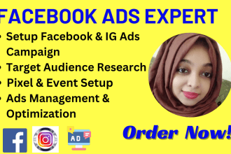 setup and manage effective facebook ads campaign and instagram ads campaign