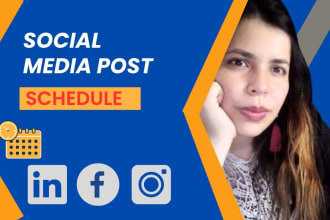 schedule posts on social media accounts