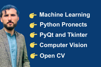 do machine learning, python, pyqt and tkinter projects