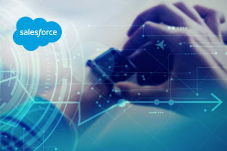 assist you with salesforce lightning development
