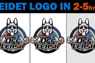 edit, recreate, modify, recolor, change font, vectorize, make transparent logo