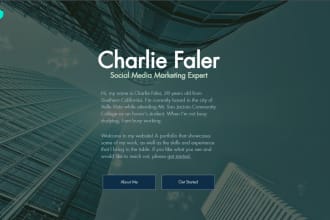 be your pro social media strategist and advisor