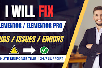 fix and customize elementor, elementor pro and issues, bugs wordpress developer