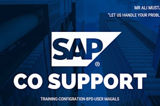 be your sap co consultant