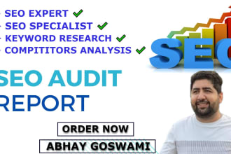 provide you website SEO audit report