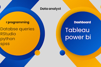 do data analysis, sql database queries, r programming, tableau dashboard, excel