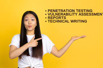do professional penetration testing, vulnerability assessment and reports