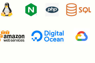 set up, and configure websites on vps in AWS, gcp, linode