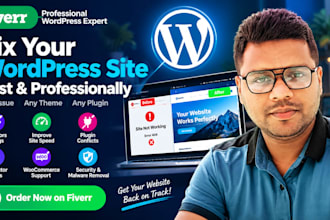 fix your word press site