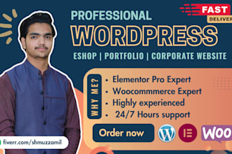 design a professional wordpress website and woo commerce store
