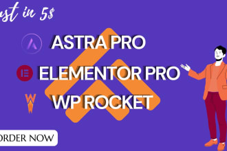 install elementor pro, astra pro,  wp rocket updatable