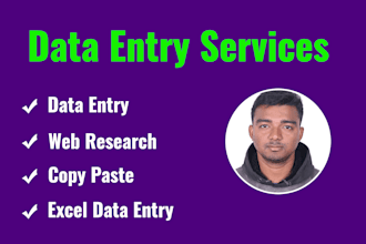 do data entry, web research, copy paste, excel data entry typing work