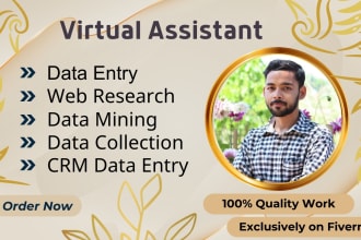 be your virtual assistant for data entry, web research, data mining, typing