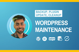 do wordpress maintenance, fix issues, and regular updates