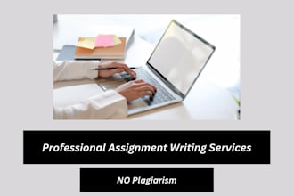 do any assignment work without plagiarism in ms word, excel and power point