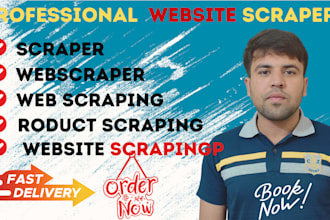 make data scraping, product scraping with python in 24 hours