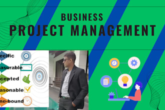 expert project manager for planning cost control fast delivery