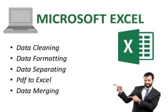 microsoft excel data cleaning, spreadsheets, PDF to excel
