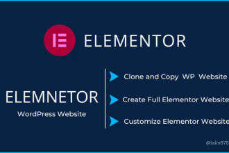 fix, edit, redesign and make elementor wordpress website