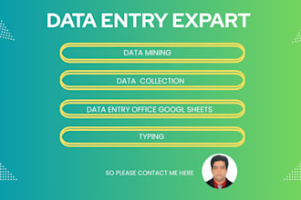 do fastest  excel data entry , data mining , data collection