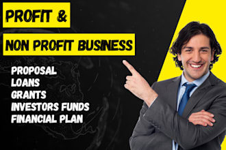 do winning profit,non profit business plans and grant writing