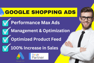setup manage and optimize your google shopping ads campaign