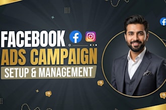 be your instagram and facebook ads campaign manager