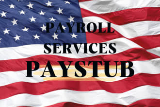prepare paystub, payroll, check stub, w2