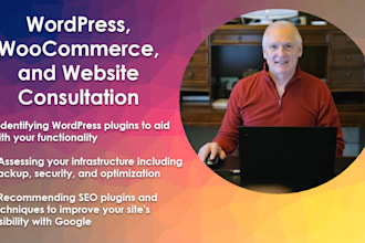 consult with you about any wordpress, business, or website issue