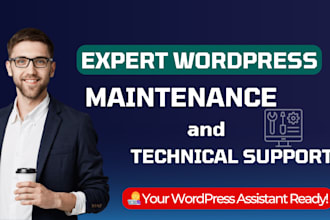 provide expert wordpress maintenance and technical support