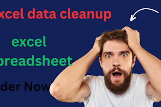 cleanup excel spreadsheet, data cleaning