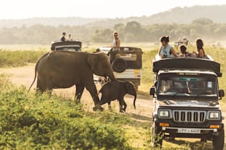 guide you in anything related to sri lanka