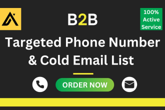 find targetd person phone number and b2b cold email list