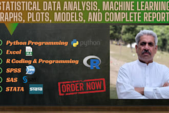 do statistical data analysis, r coding, spss, excel, sas, python programming