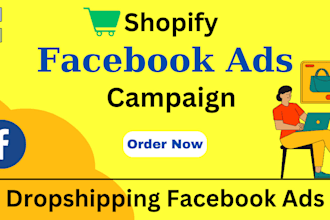 run dropshipping facebook ads campaign for shopify