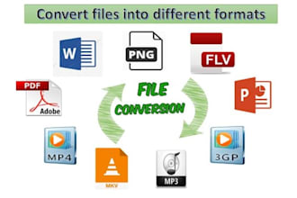 convert pdf  to word or excel and data entry