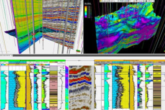 carry out 2d and 3d seismic data interpretation