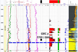 do petrophysical and well logs data interpretation