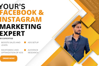 create facebook and instagram ads for leads and sales
