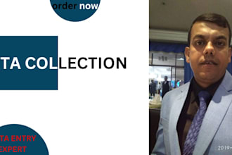 provide you the best data collection service