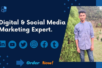 be your digital marketing manager and social media content creator