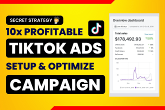 run tik tok ads campaign, tik tok ads manager, tik tok advertising, tiktok ads