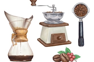 draw a realistic food illustration by watercolor