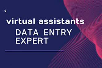 be your virtual assistant for data entry, web research, copy paste and data typi