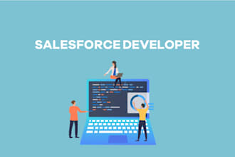be your salesforce consultant or developer and administrator