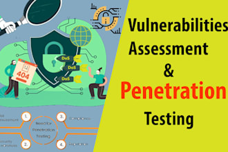 do vulnerability assessment and penetration testing your website