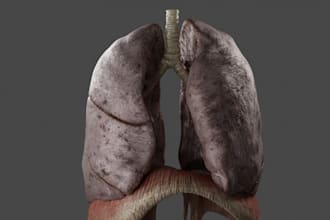 create a 3d model