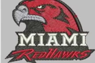 do embroidery digitizing emb,dst,jef,pes in few hours